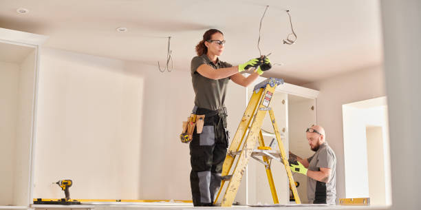 Best Electric Panel Repair  in Atwood, IL